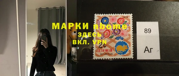 apvp Гусев