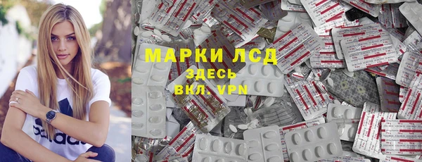 сатива Лабытнанги
