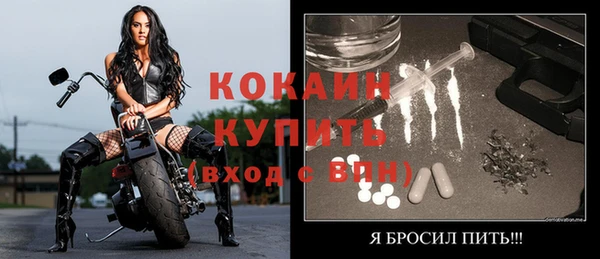 скорость Лагань