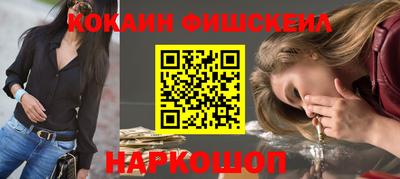 гидропоника Гатчина