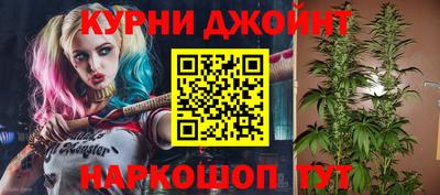 PSILOCYBIN Балахна