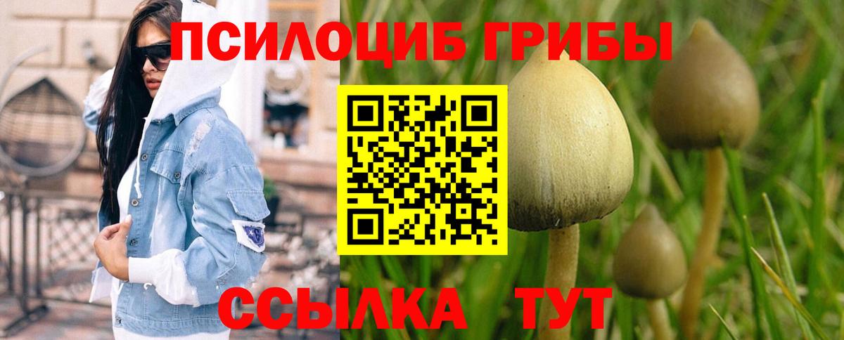 Псилоцибиновые грибы Magic Shrooms  Псилоцибиновые грибы MAGIC MUSHROOMS  Железноводск  Вход с VPN 
