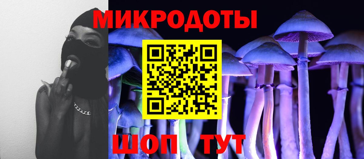 Псилоцибиновые грибы мицелий Железноводск